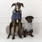 Denim Elasto-Fit Dog Jacket
