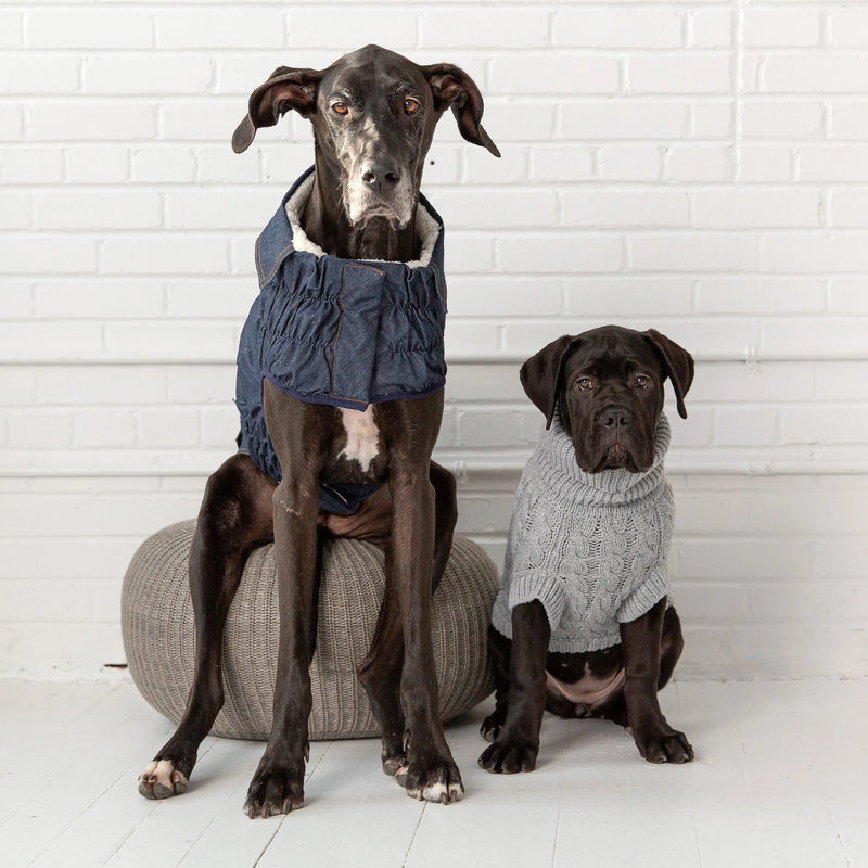 Denim Elasto-Fit Dog Jacket