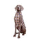 British Plaid Zipper Down Dog Jacket