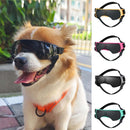 Dog Sun-proof / UV-proof Goggles