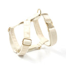 Nude Elegant Collar Leash Set
