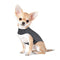 Grey Dog Anxiety Vest / Jacket