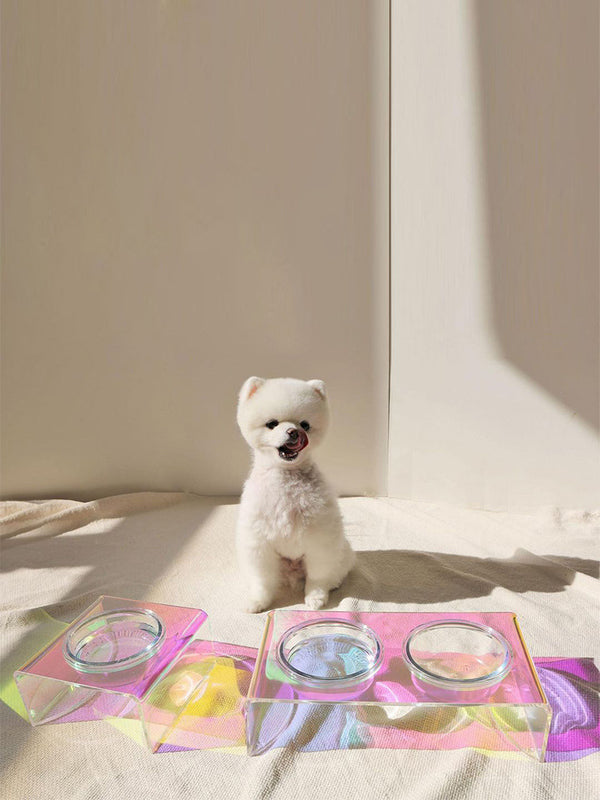 Acrylic Dazzling Food Bowl