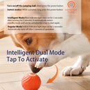 Dog's Smart Self-Rolling Bouncy Ball
