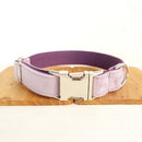 Lavender Leash, Collar & Bow Set – Stylish and Sweet for Your Pup
