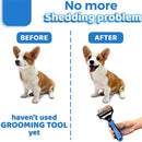 2-Sided Deshedding & Dematting Tool