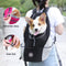 Mesh Backpack Carrier Bag For Dogs