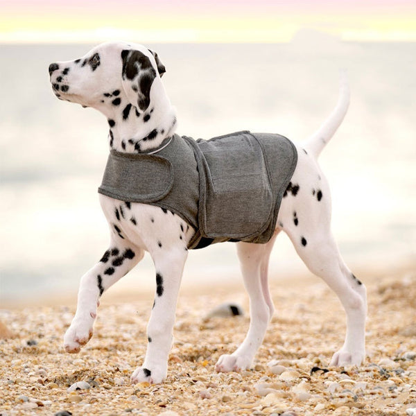 Grey Dog Anxiety Vest / Jacket