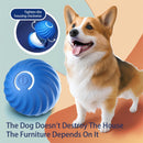 Dog's Smart Self-Rolling Bouncy Ball