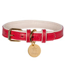 Leather Dog Collar (Various Colors)