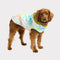 The Reflective, Waterproof & Reversible Dog Raincoat