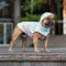 The Reflective, Waterproof & Reversible Dog Raincoat